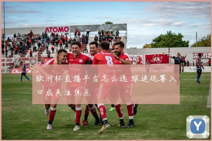 欧洲杯直播平台怎么选 球迷观赛入口成关注焦点