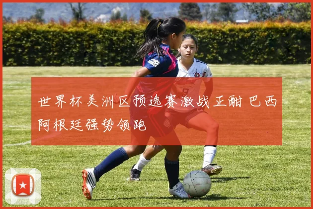 世界杯美洲区预选赛激战正酣 巴西阿根廷强势领跑