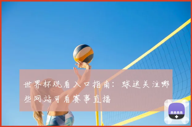 世界杯观看入口指南:球迷关注哪些网站可看赛事直播