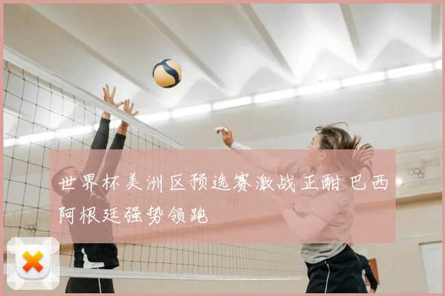 世界杯美洲区预选赛激战正酣 巴西阿根廷强势领跑