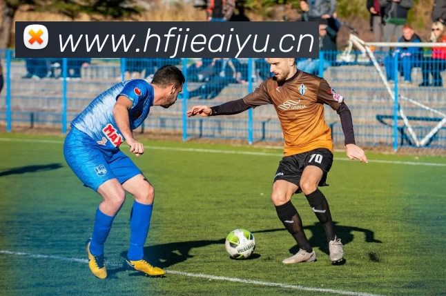 App Interface Preview