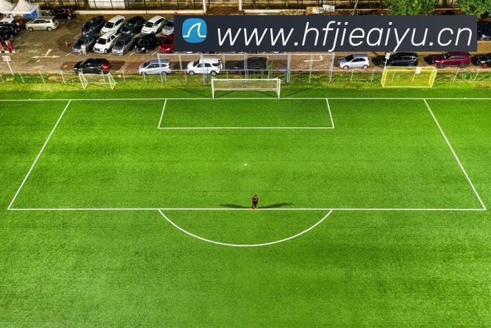 数据防护可视化